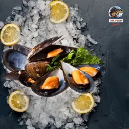 بلح البحر - محار خلطة اسكندراني